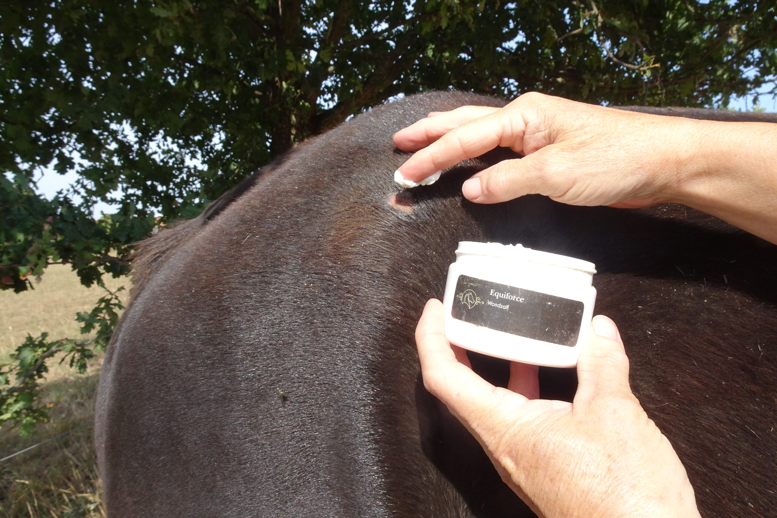 Equiforce Wondzalf - Afbeelding 2