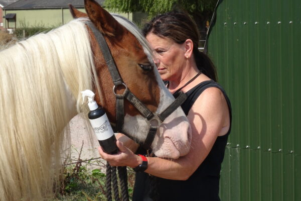 Equiforce Massage olie - Afbeelding 4